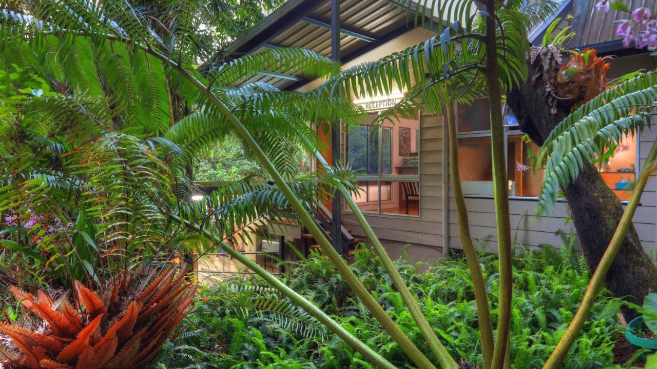 Chambers Wildlife Rainforest Lodges Lake Eacham Exterior photo