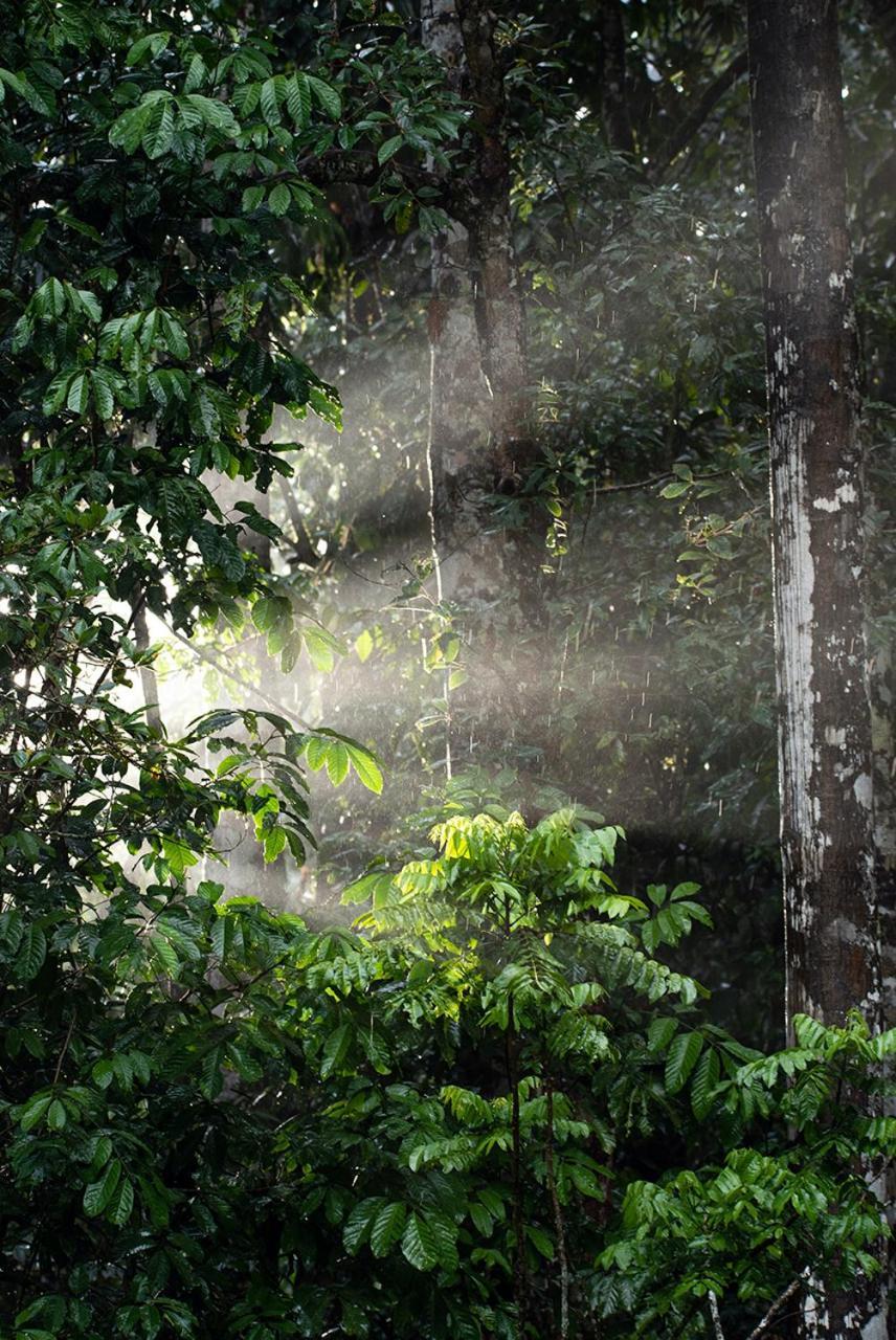 Chambers Wildlife Rainforest Lodges Lake Eacham Exterior photo