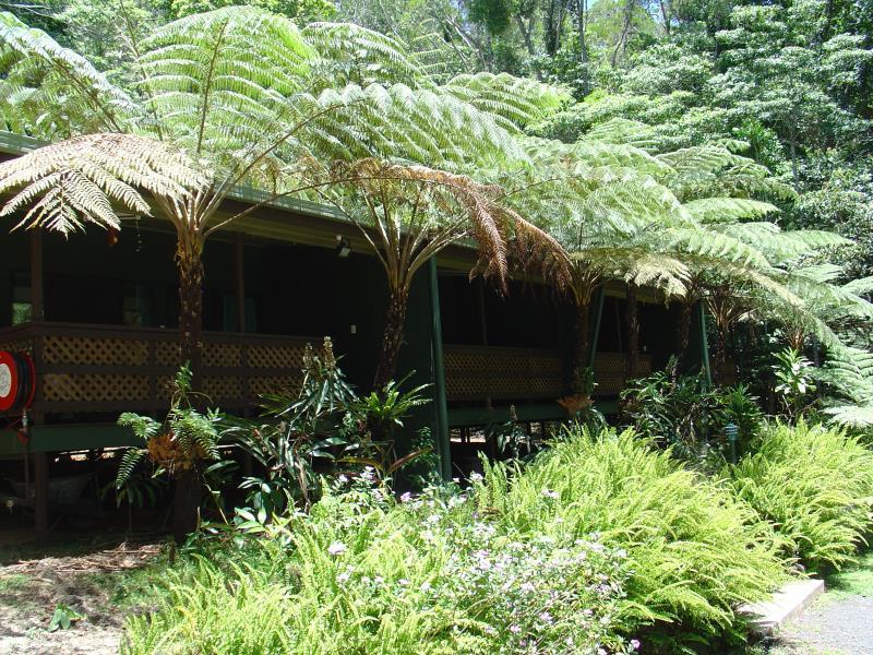Chambers Wildlife Rainforest Lodges Lake Eacham Exterior photo